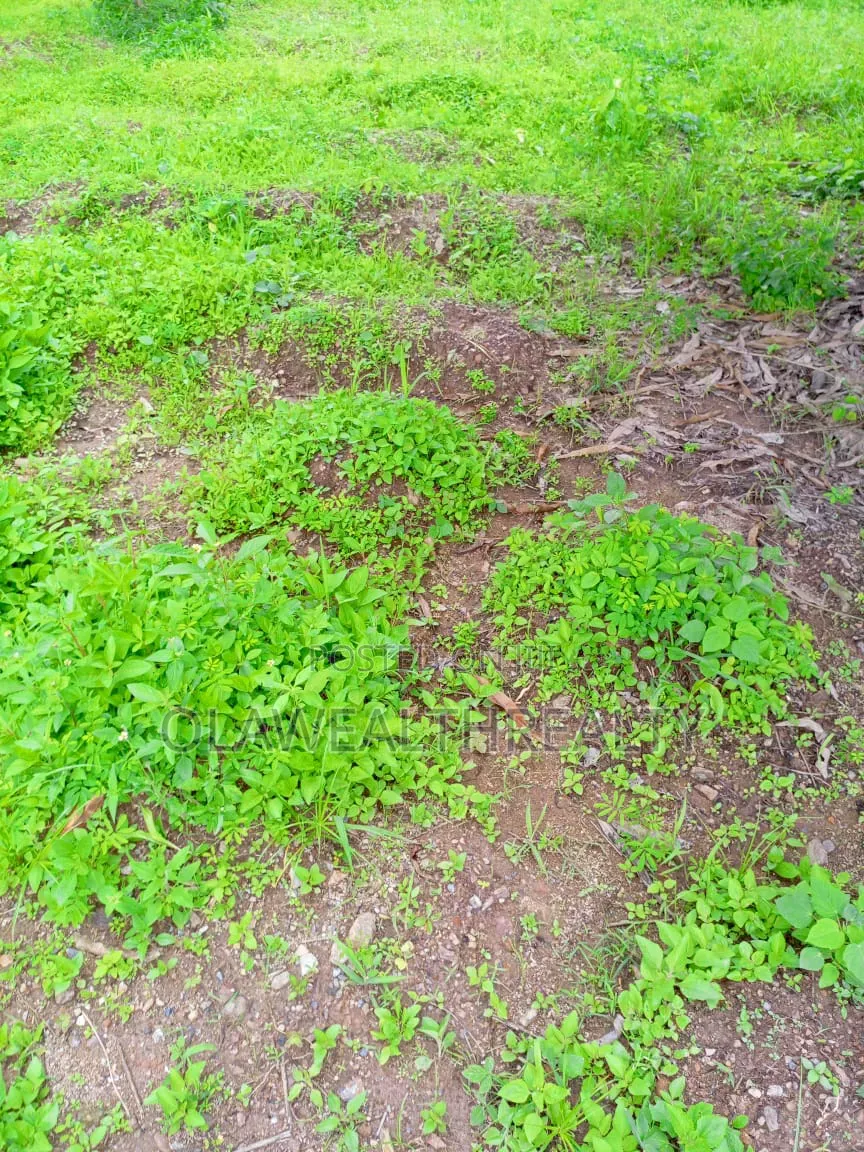 1,832sqm Residential Land at Ajah in Ogombo