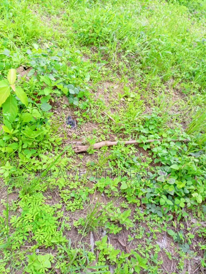 1,832sqm Residential Land at Ajah in Ogombo