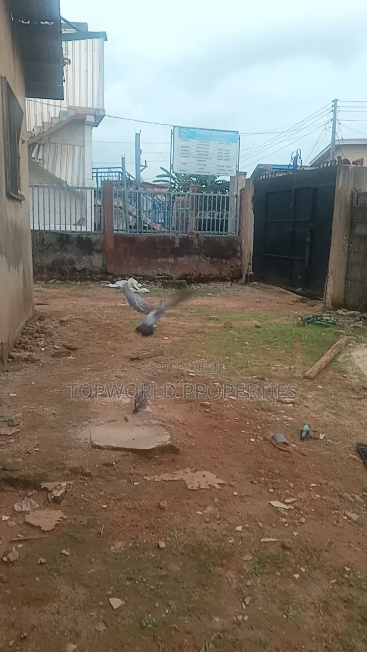 3bdrm House in Ile Epo Abule Egba for sale in Abule Egba