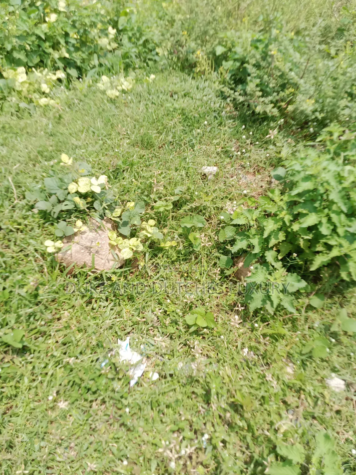 Land and Plots in Lokogoma