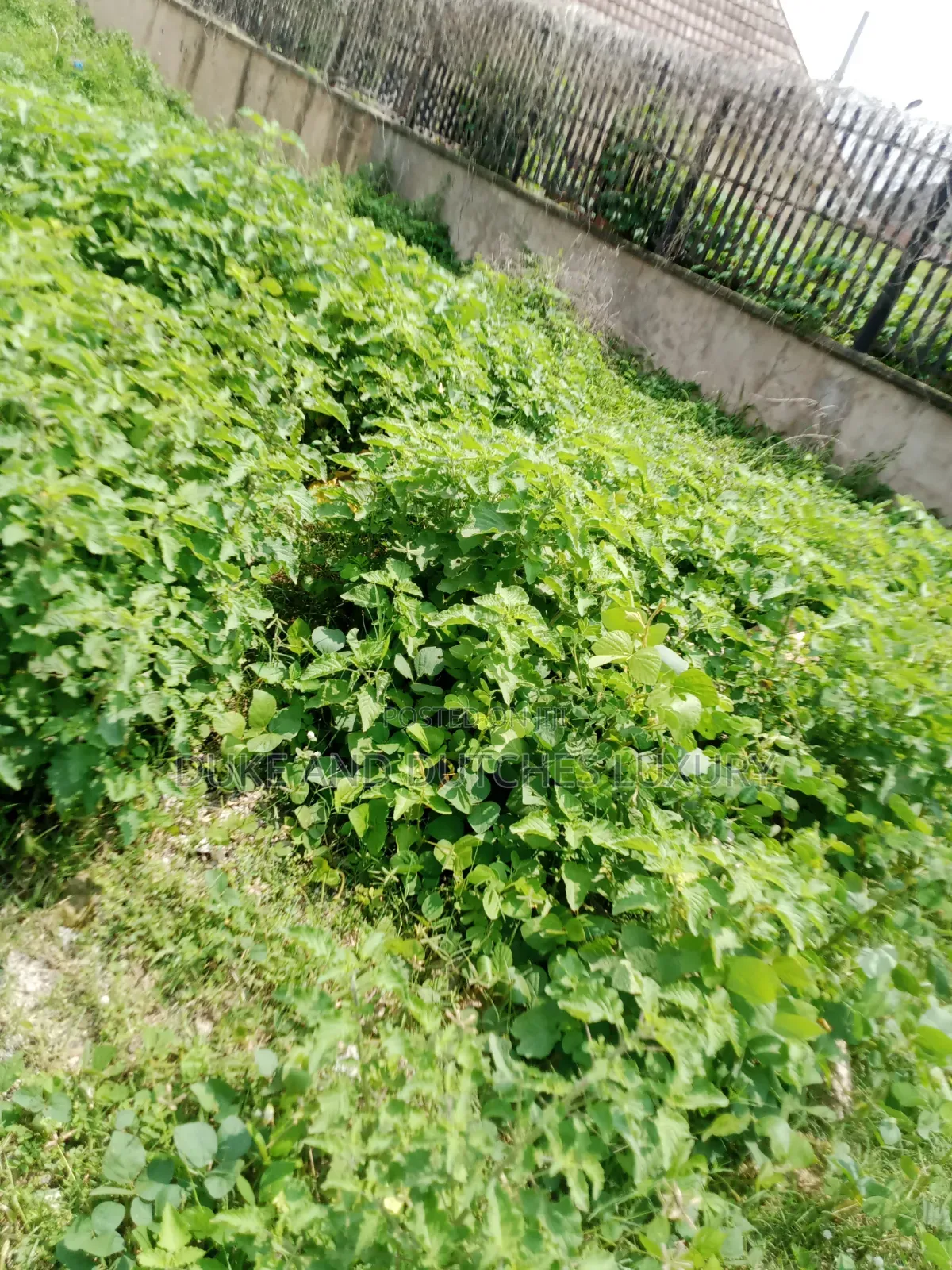 Land and Plots in Katampe Extension
