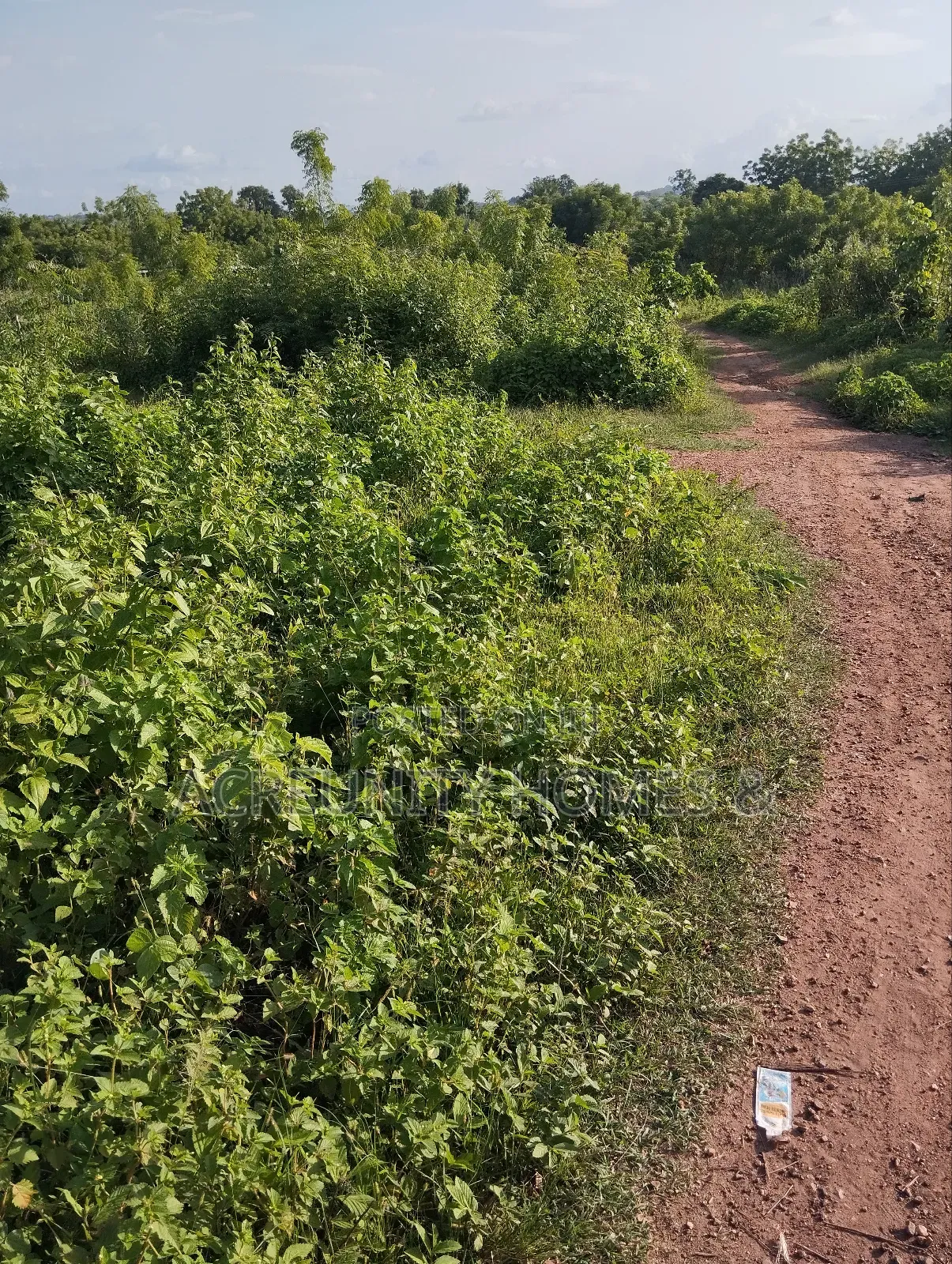 8 Acres for Sale Behind Iseyin College of Health, Iseyin Oyo Exp Way in Iseyin