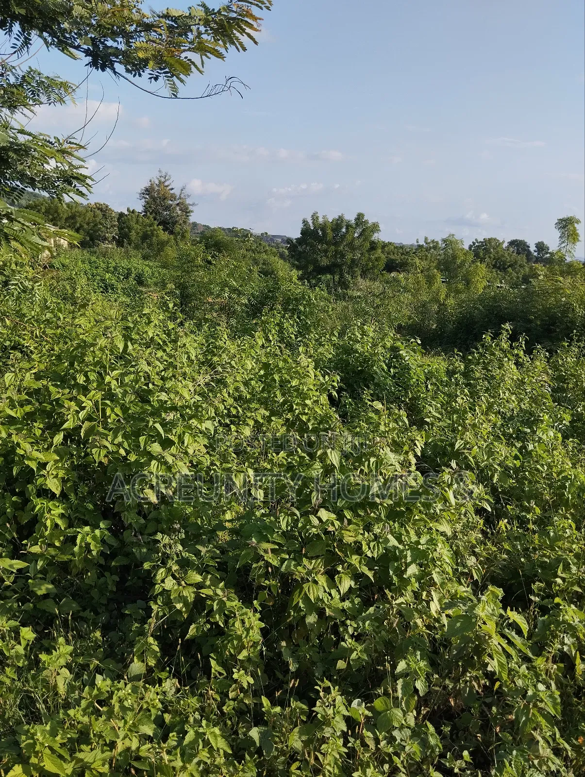 8 Acres for Sale Behind Iseyin College of Health, Iseyin Oyo Exp Way in Iseyin