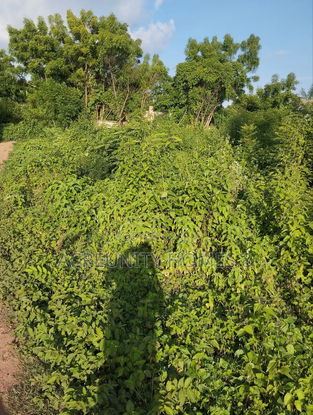 8 Acres for Sale Behind Iseyin College of Health, Iseyin Oyo Exp Way in Iseyin