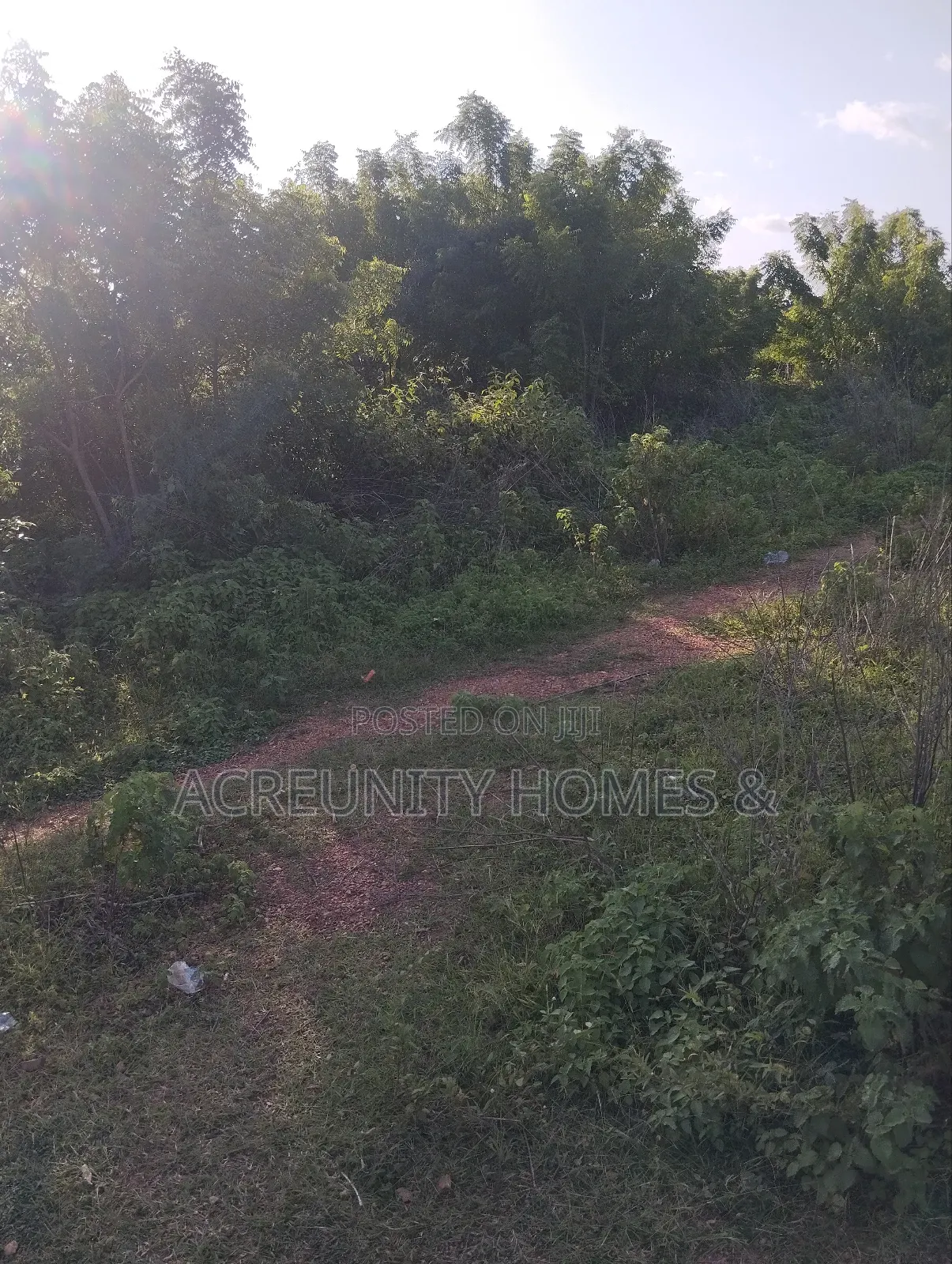 2000 Acres of Fertile Farmland Along Ilero–Iganna Road, Oyo State in Kajola