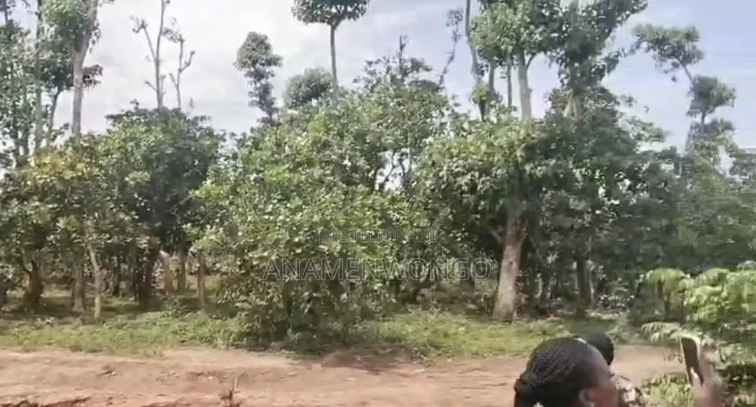 Fast Roi 500sqm Guzape 2 Lands | Fcda Approved in Guzape District