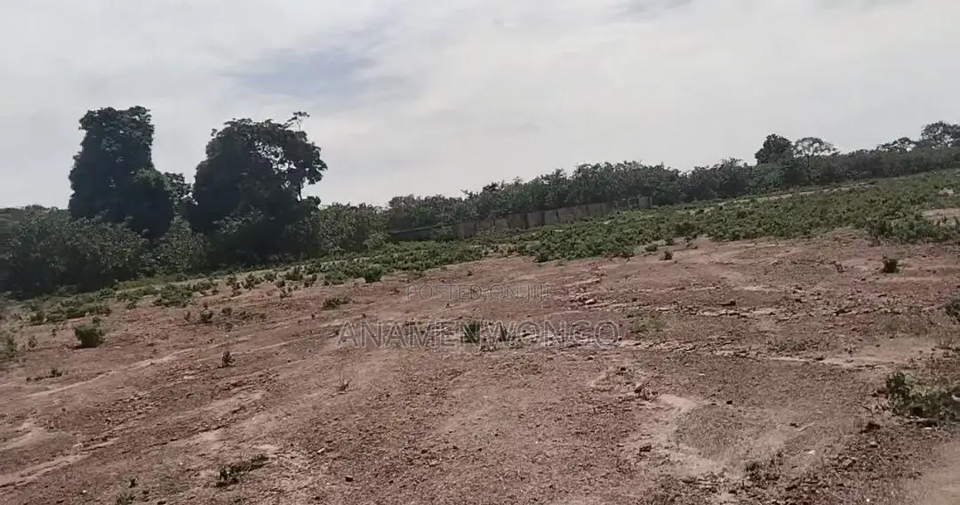Livable and Fcda Approved 750sqm Estate Land in Guzape Main in Guzape District