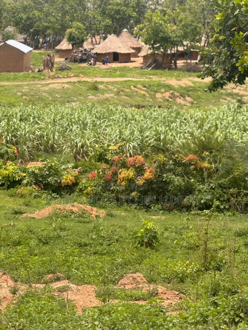 Land and Plots in Life Camp