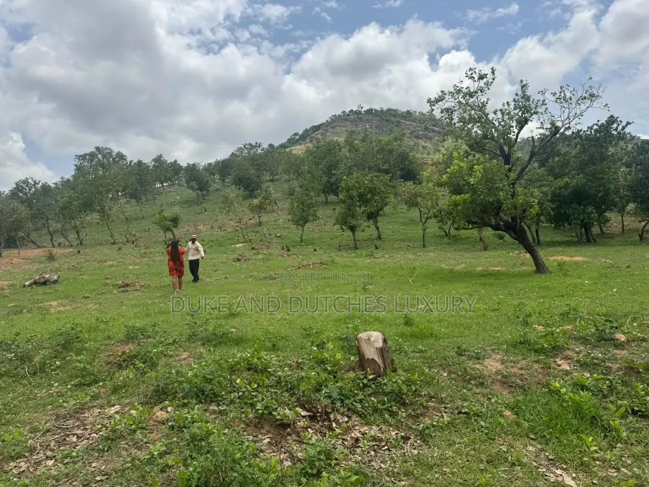 Land and Plots in Life Camp