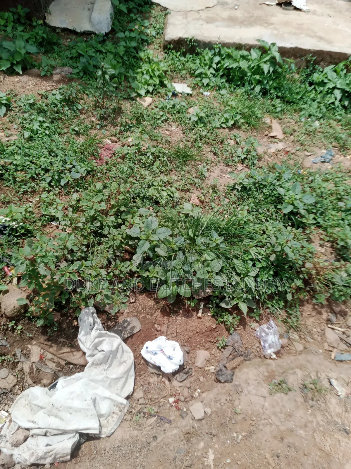 Land and Plots in Karsana