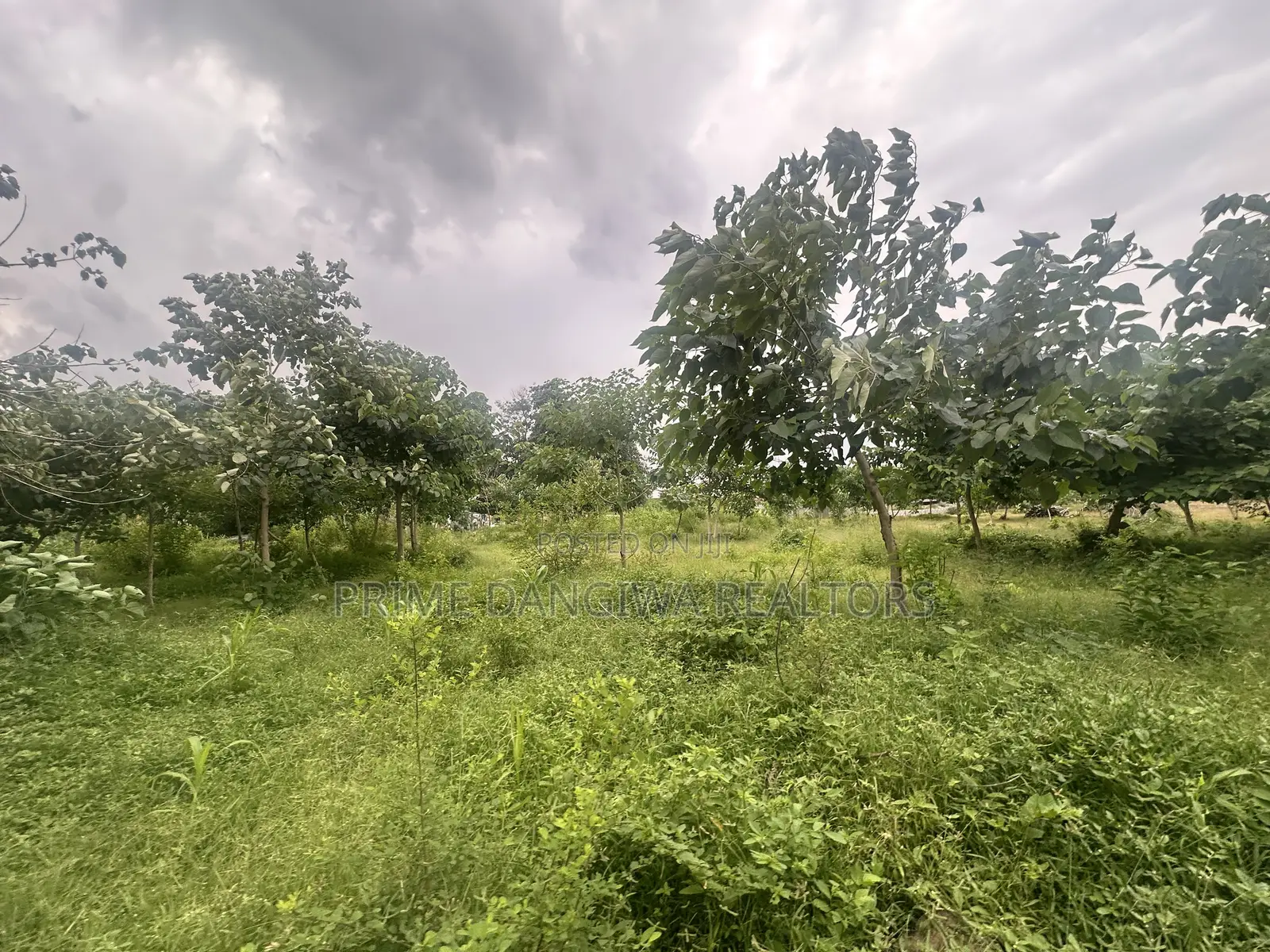 A Prime Residential Plot of Land Measuring About 7,000 SQM at Jabi in Jabi