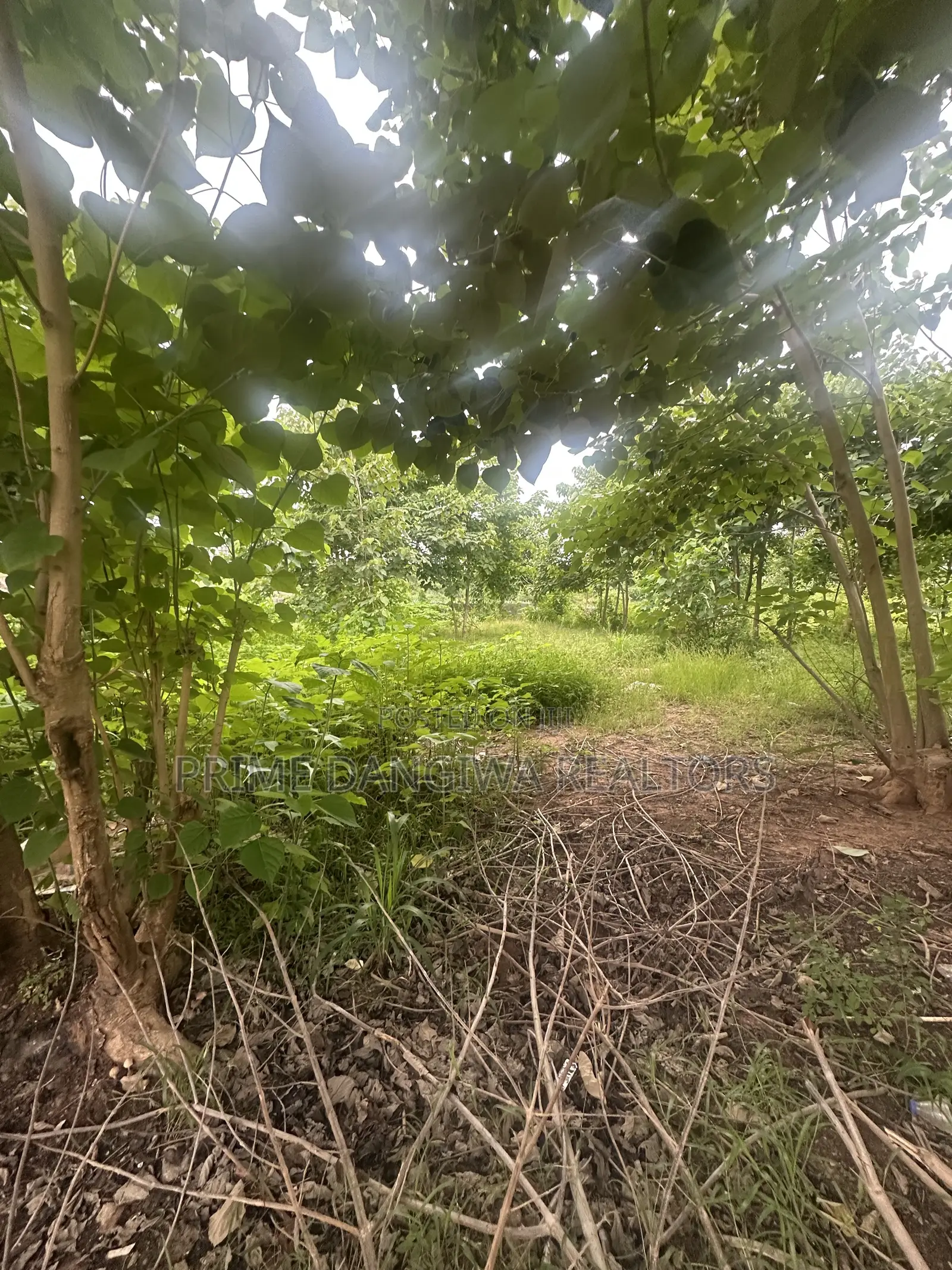 A Prime Residential Plot of Land Measuring About 7,000 SQM at Jabi in Jabi
