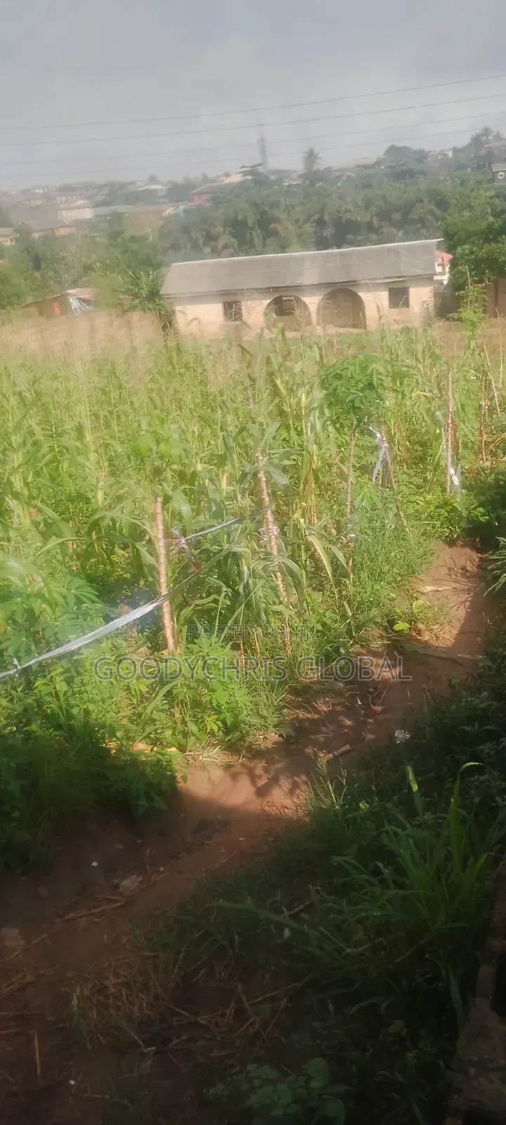 2 Plots With 4 Bedrooms on 1 Plot All Is Going Together in Central Business District