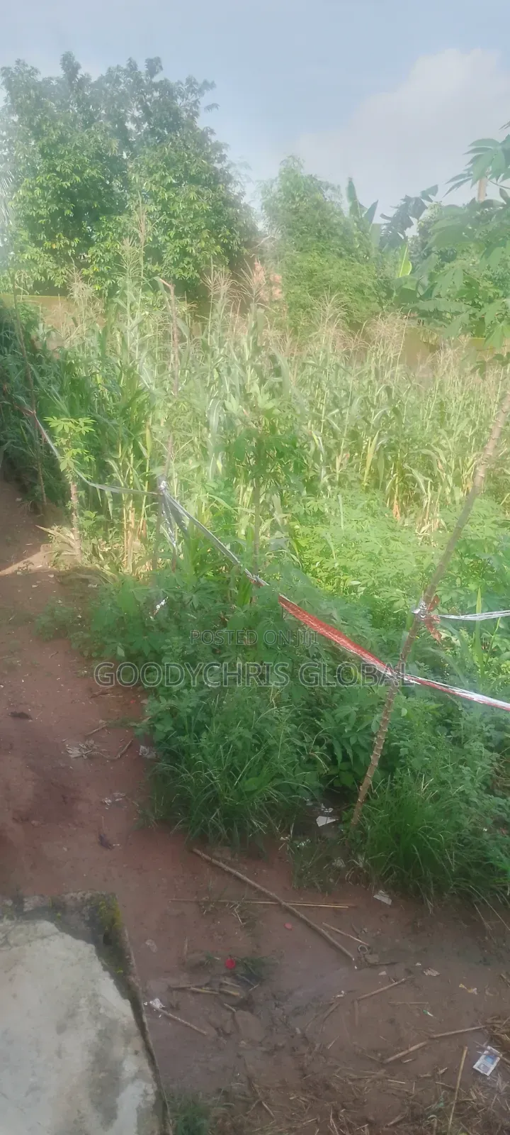 2 Plots With 4 Bedrooms on 1 Plot All Is Going Together in Central Business District