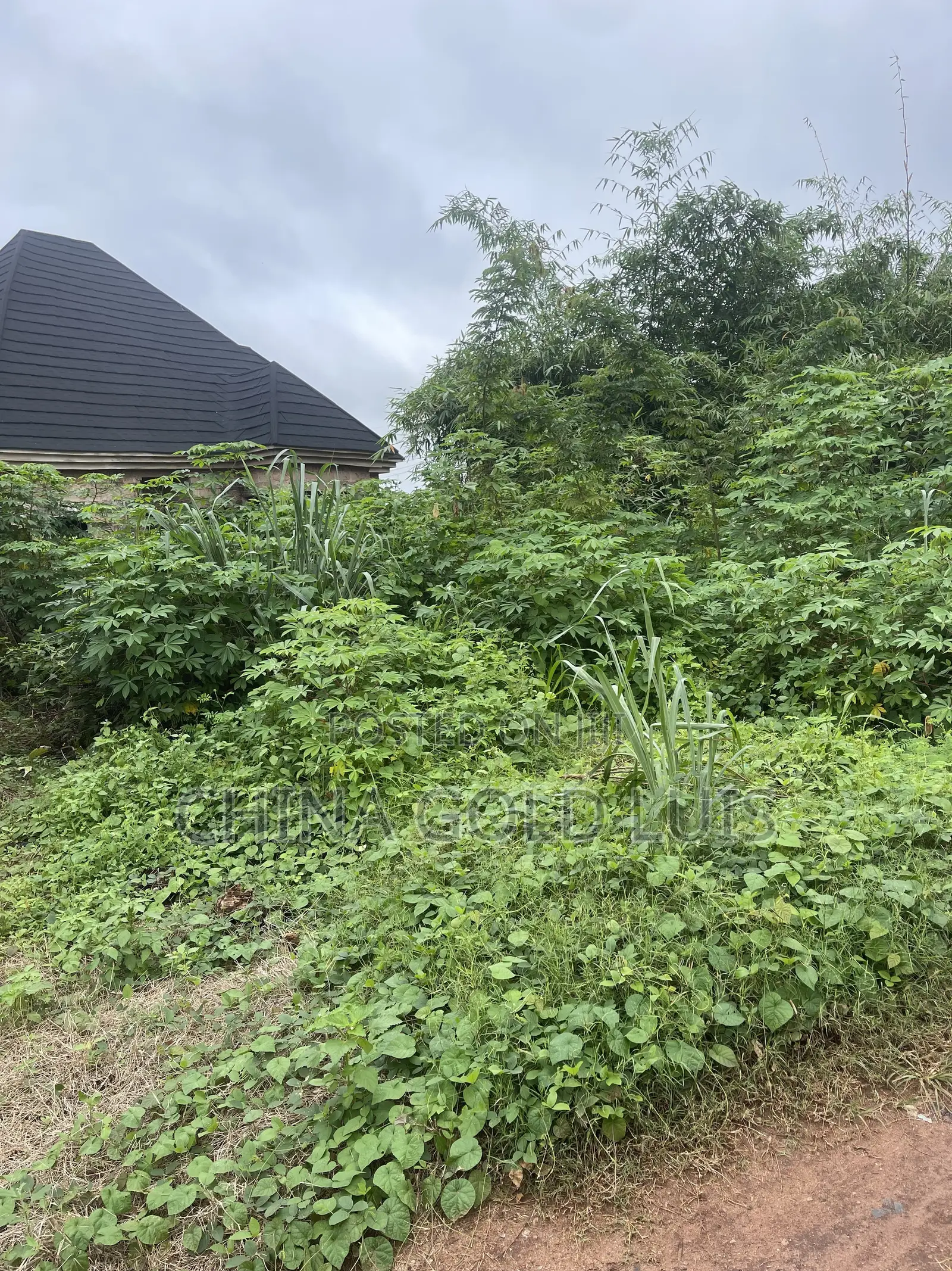 100/100 Land for Sale at Neugbo Agbor Delta State in Ika North East