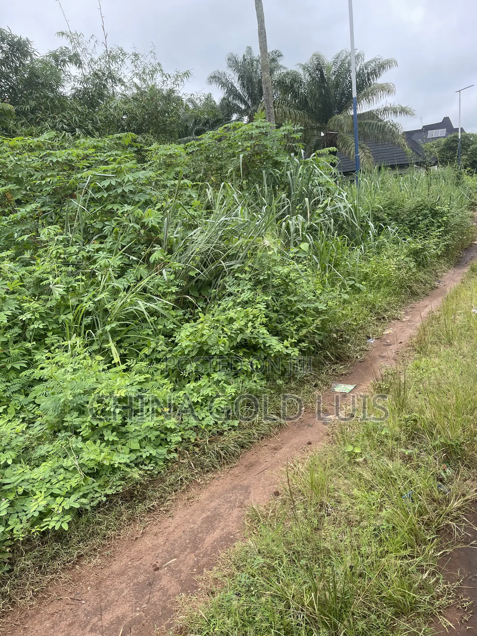 100/100 Land for Sale at Neugbo Agbor Delta State in Ika North East