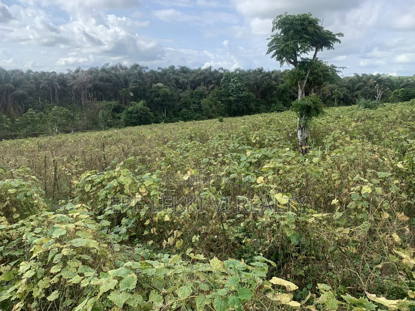 4760sqm Land Facing Express in Ajah in Ajah