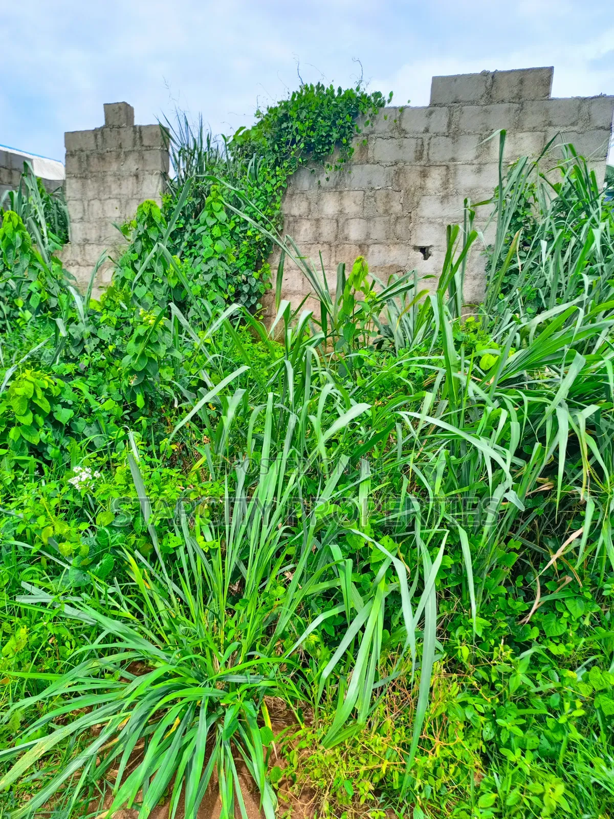 Plots of Land for Sale in Ijagemo Close to Ijegun for Sale in Ijegun