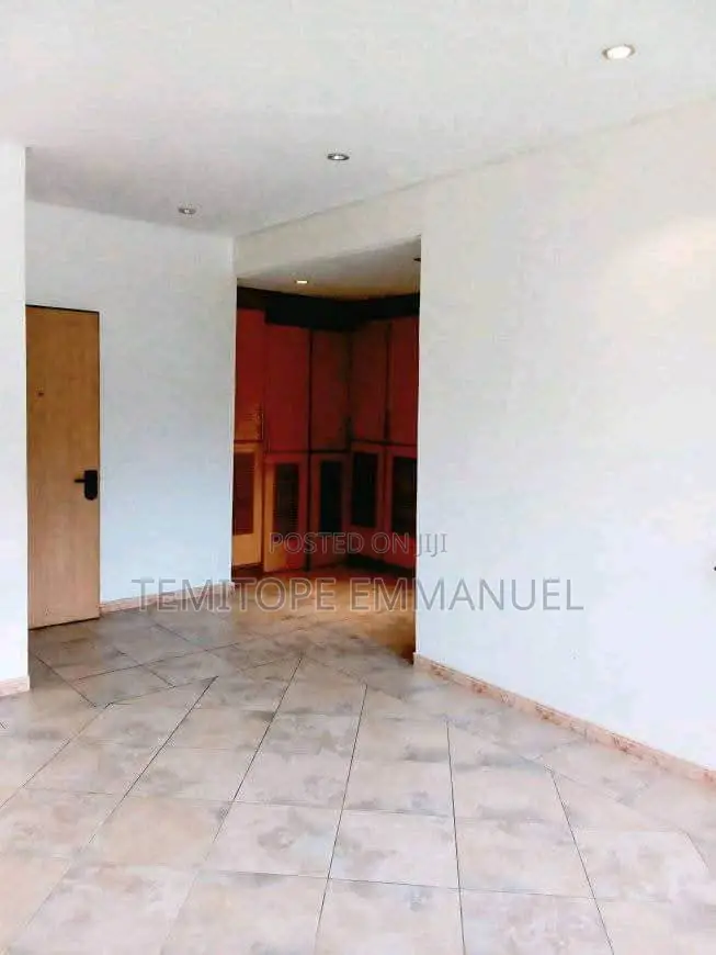 Furnished 2bdrm Apartment in Ikoyi for rent in Ikoyi