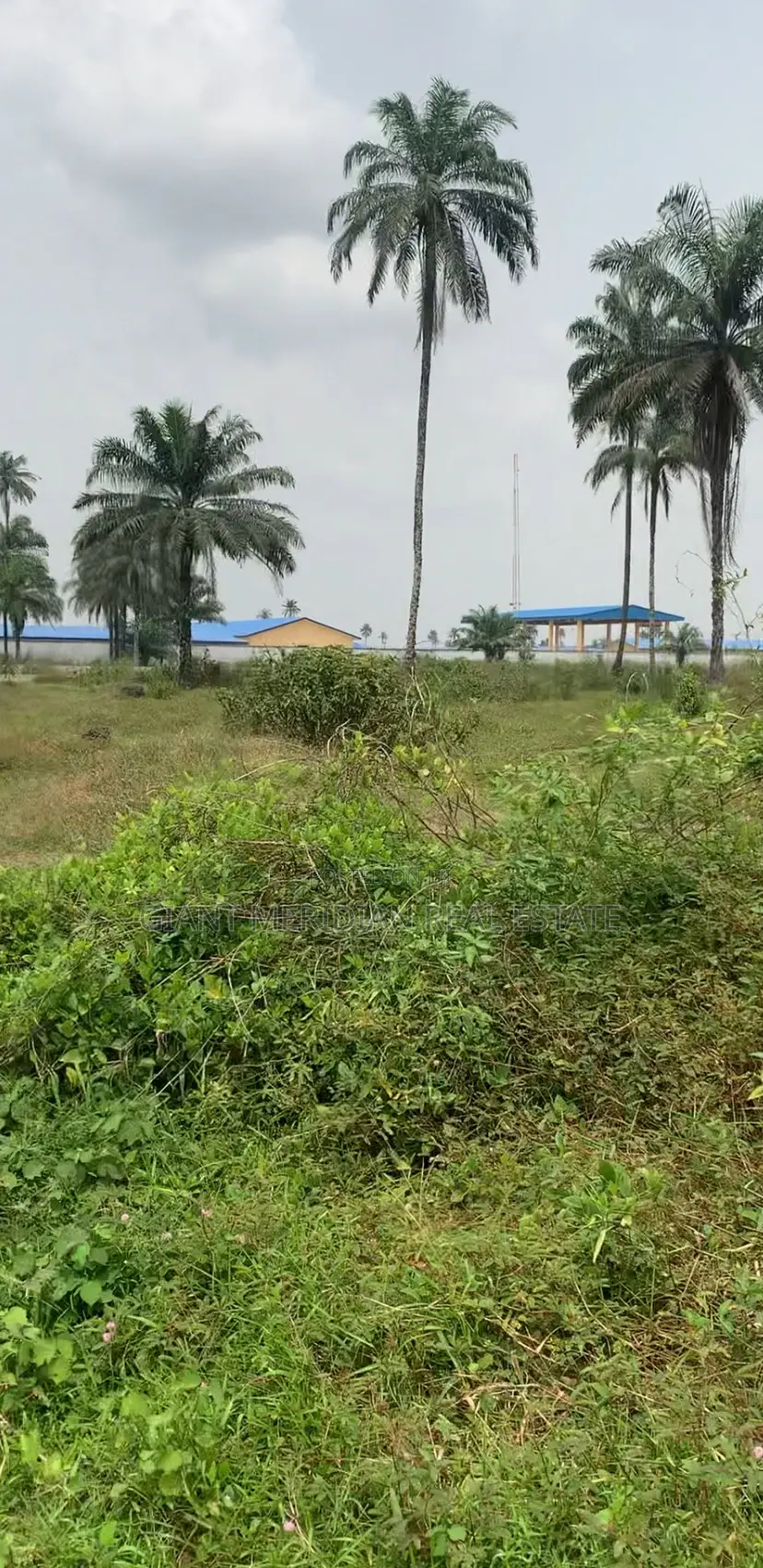 Land Plots for Sale – Obirikwere, Port Harcourt in Obio-Akpor