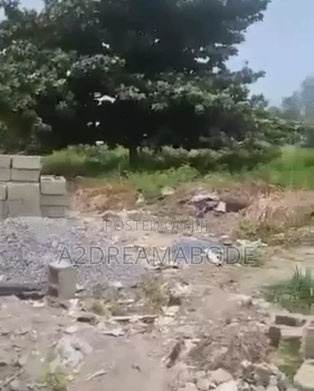 Nicely Placed, Exclusive Plot in Banana Island