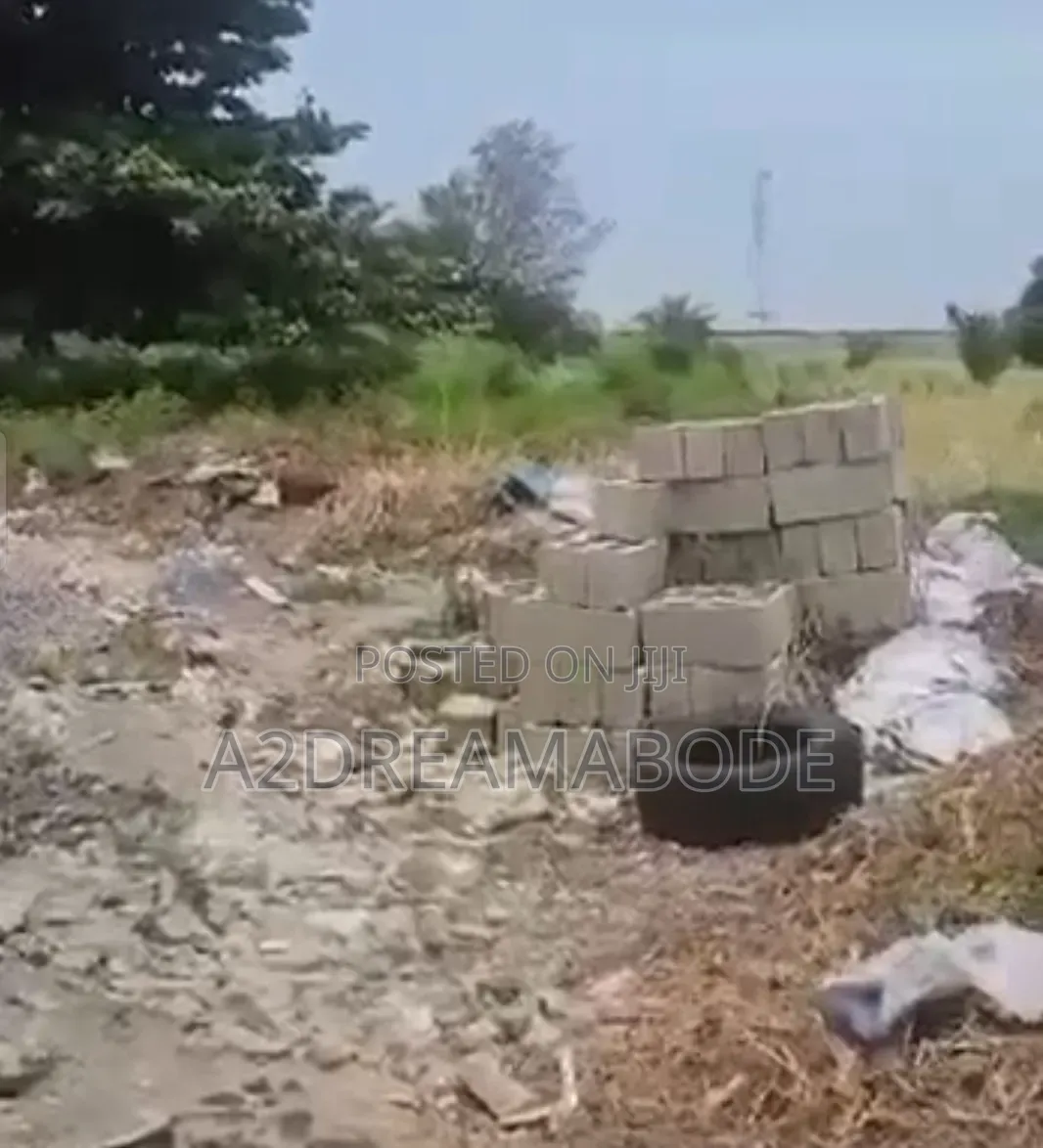 Nicely Placed, Exclusive Plot in Banana Island