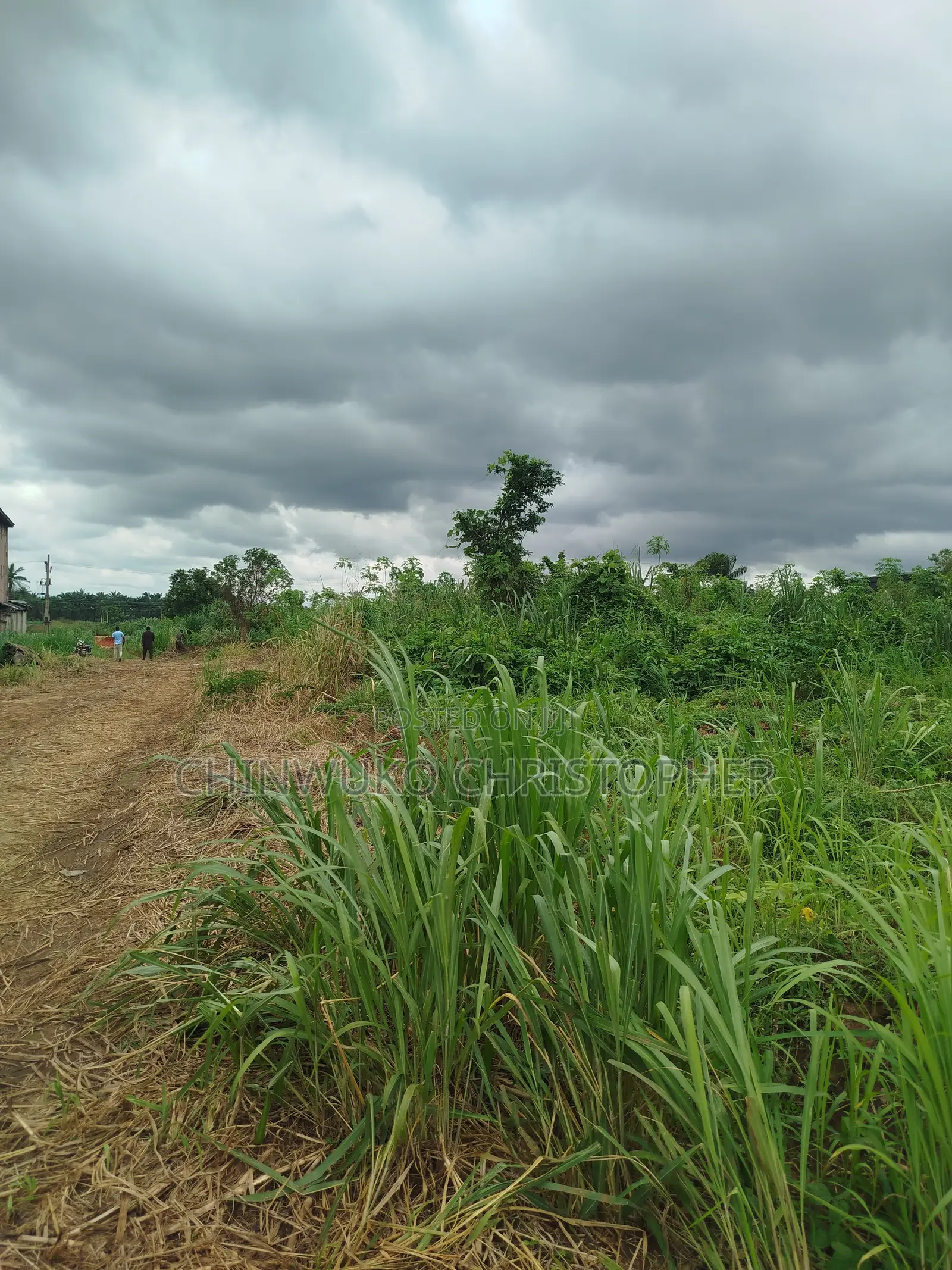 Bazaki Property's in Anambra East