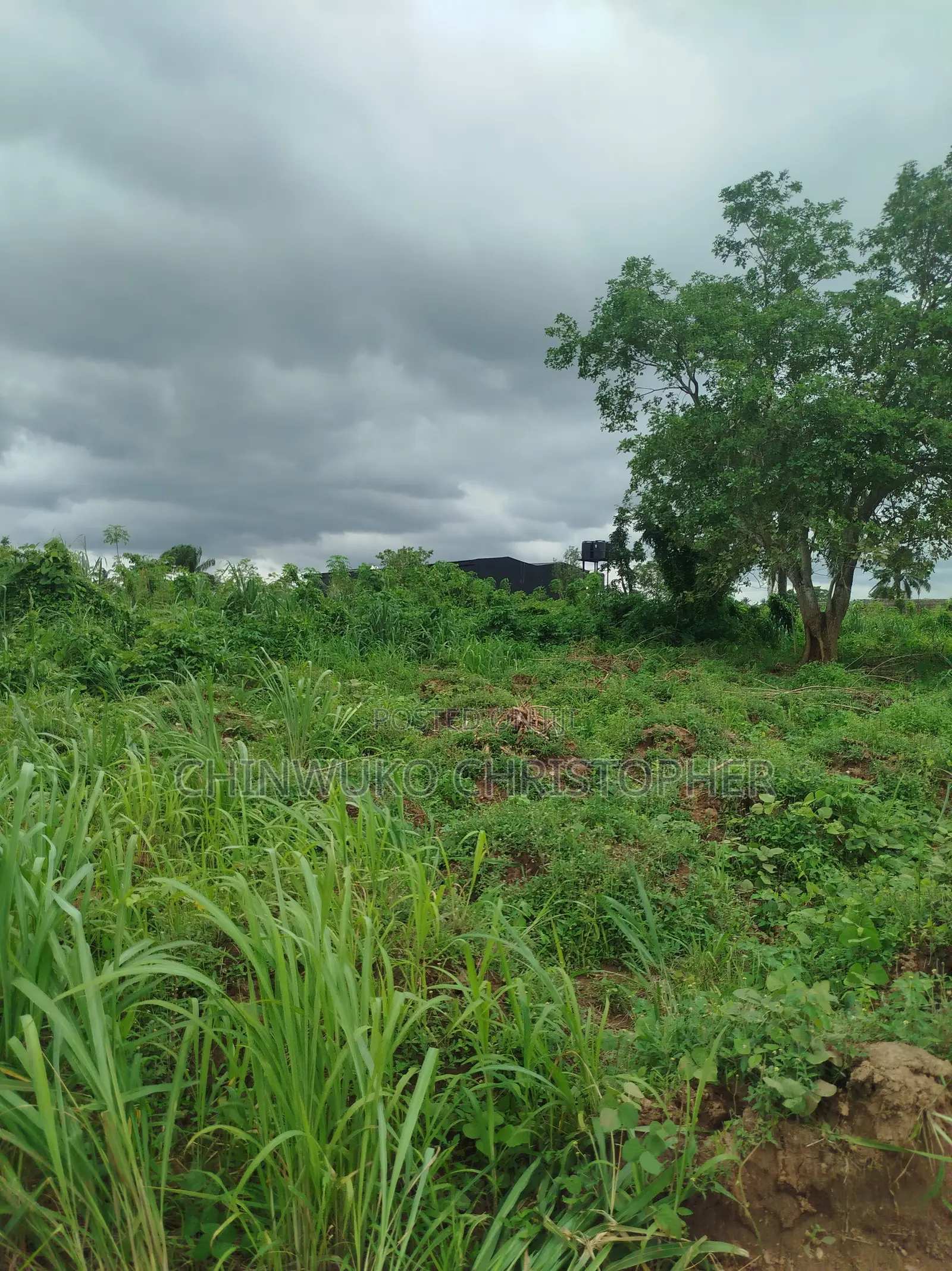 Bazaki Property's in Anambra East