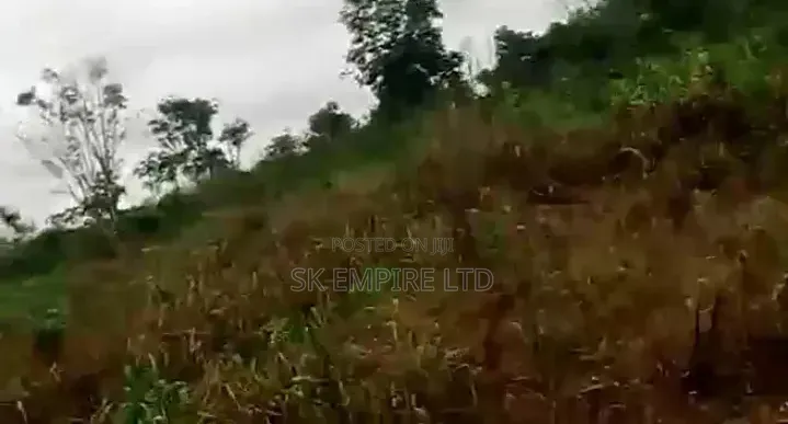 Hot Sales for Wise Investors in Owerri