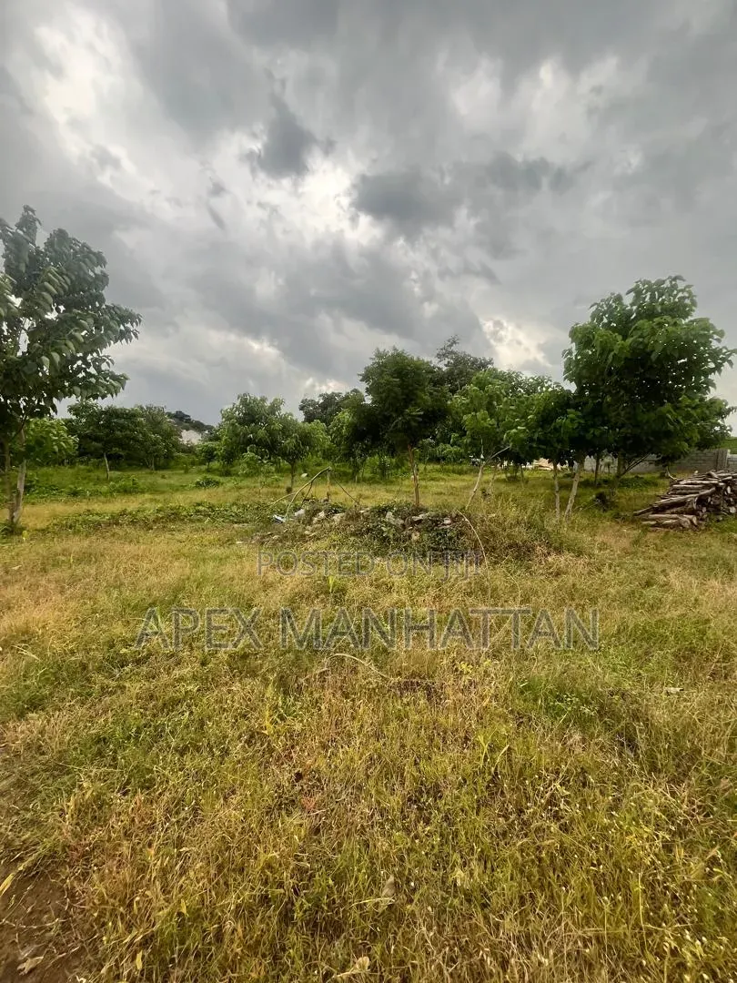 7000sqm Flat Land at Jabi for Sale Mix-Used in Jabi