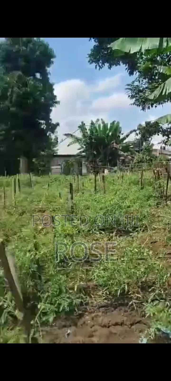 Land for Sale in Ilaje / Lekki