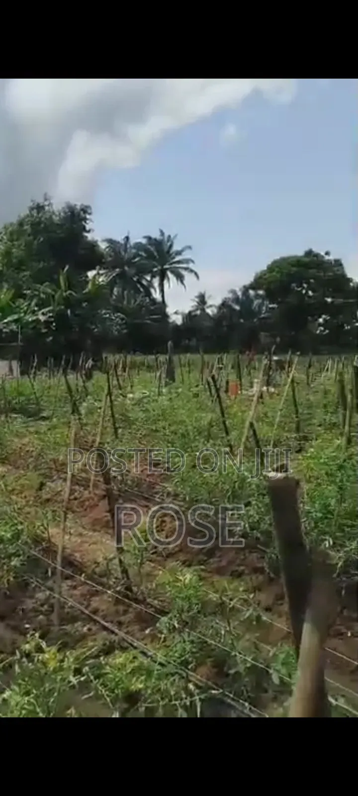 Land for Sale in Ilaje / Lekki