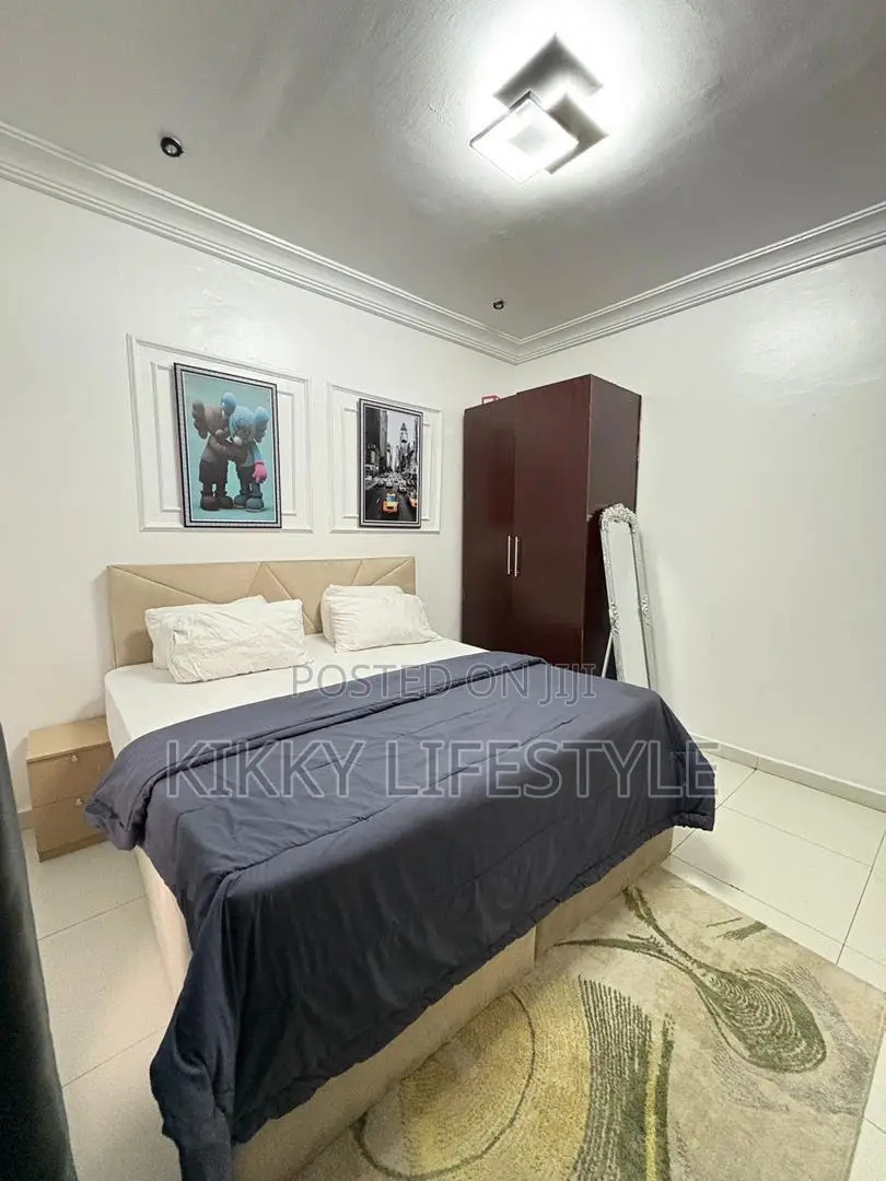 Luxury 2 Bedroom Apartment MLX in Lekki