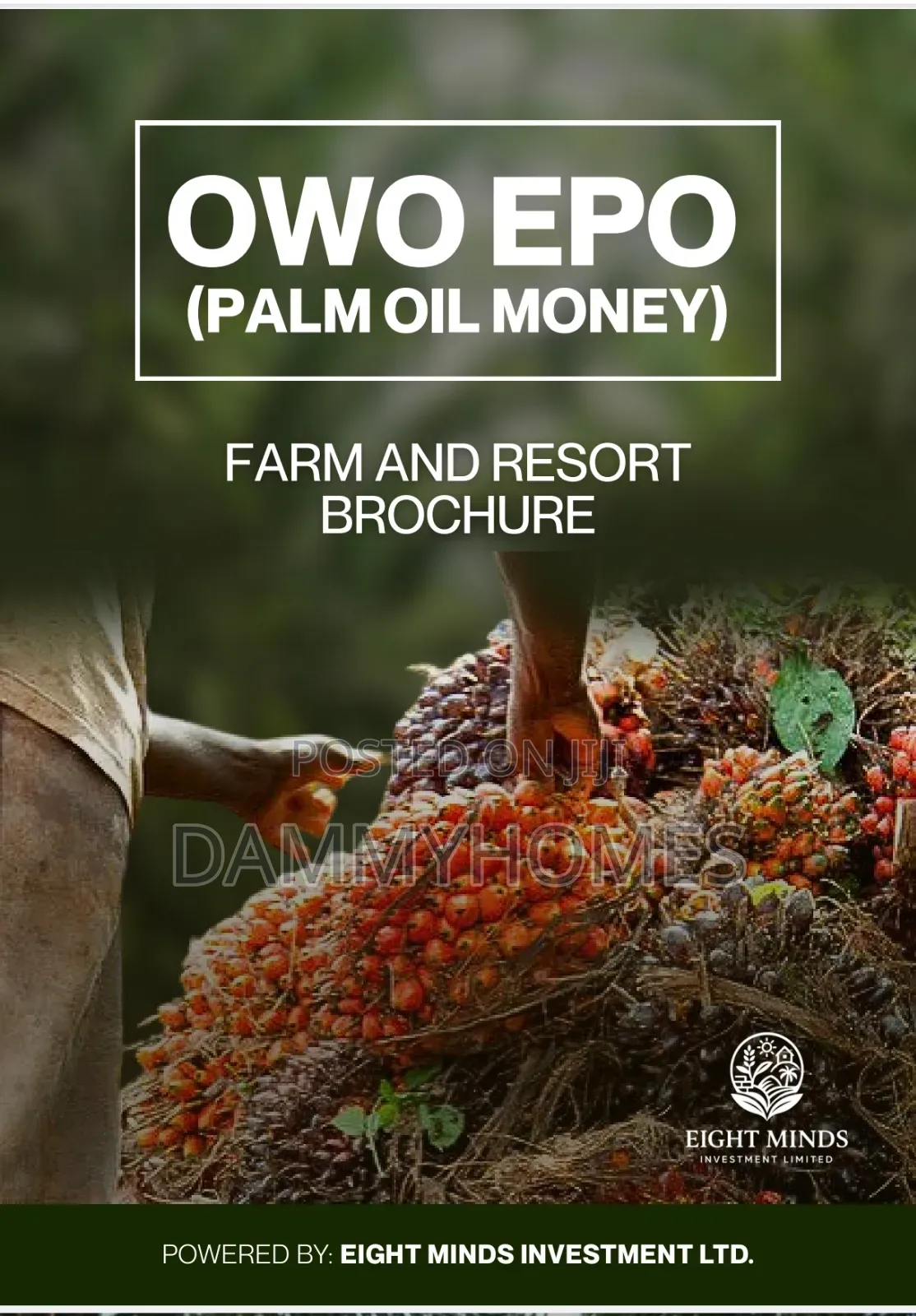 Palm Tree Farm in Obafemi-Owode