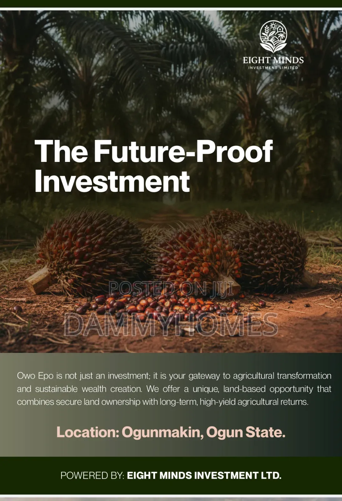 Palm Tree Farm in Obafemi-Owode