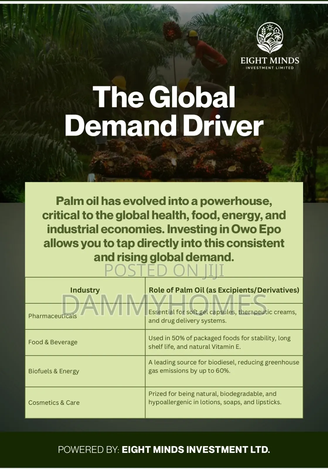Palm Tree Farm in Obafemi-Owode