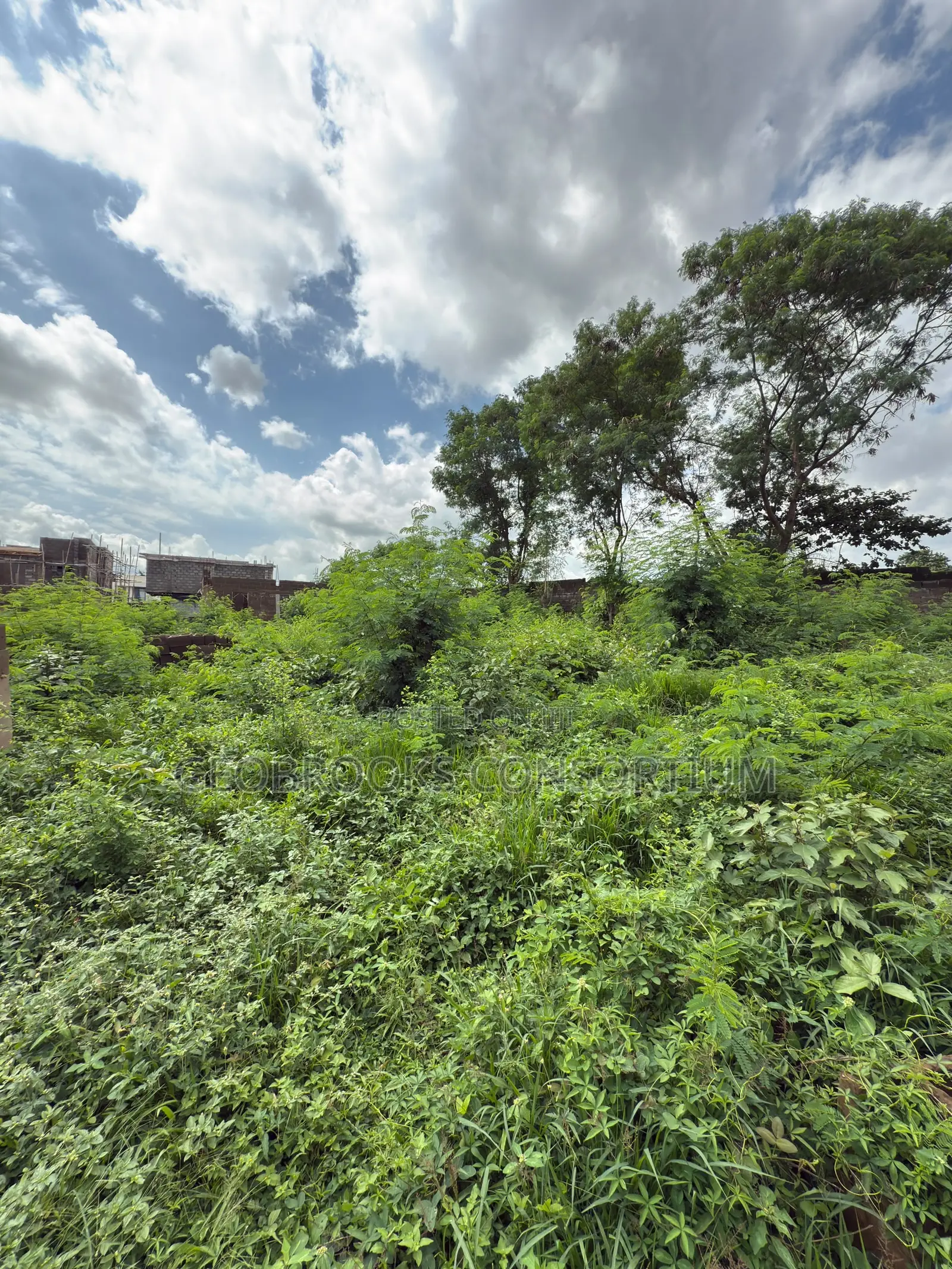 Premium 780sqm Residential Plot – Carlton Gate Estate. in Akobo