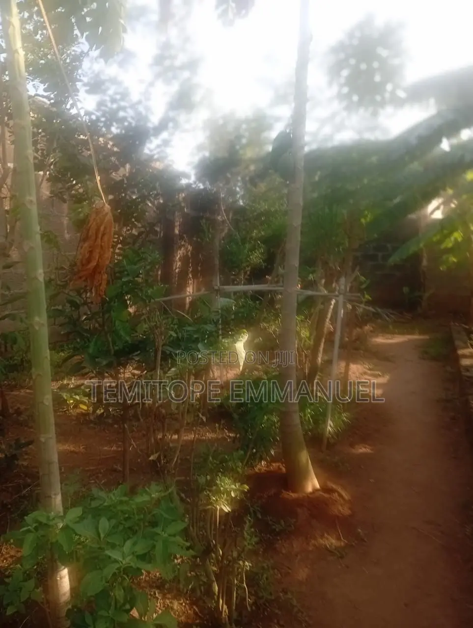 Half Plot of Land Fenced on a Major Road in Abule Egba
