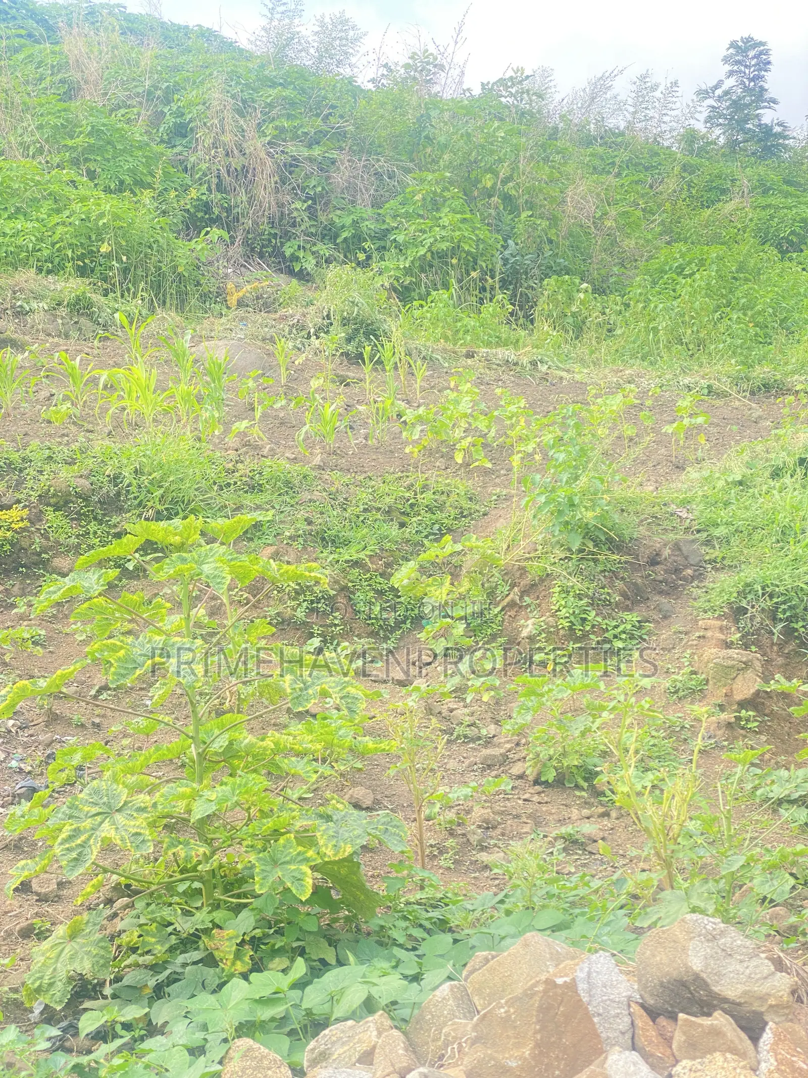 Land for Sale at Arab Road, Kubwa Abuja in Kubwa