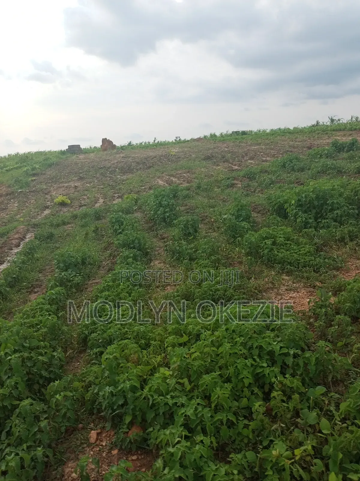 Sunrise Estate in Burum