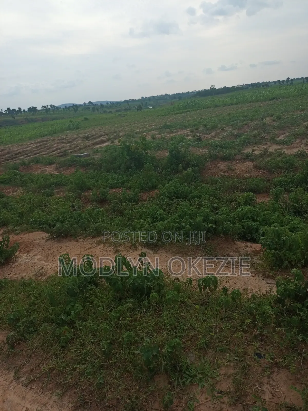 Sunrise Estate in Burum