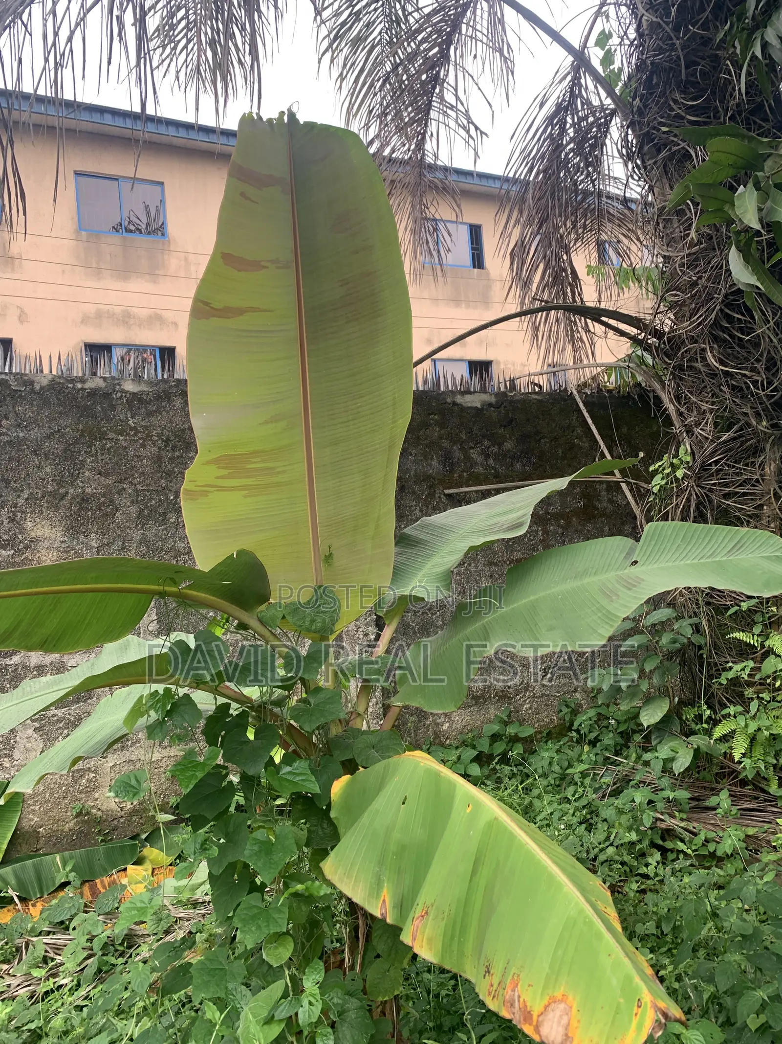 One Plot of Land for Sale – Atali Farm Estate in Obio-Akpor