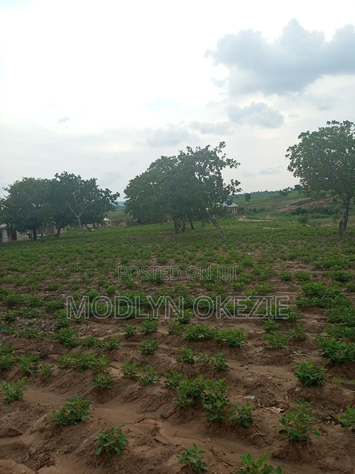 Land for Sale at Idu in Idu Industrial
