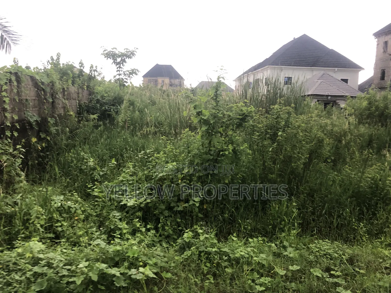 Full Plot of Land Available in Ago Palace
