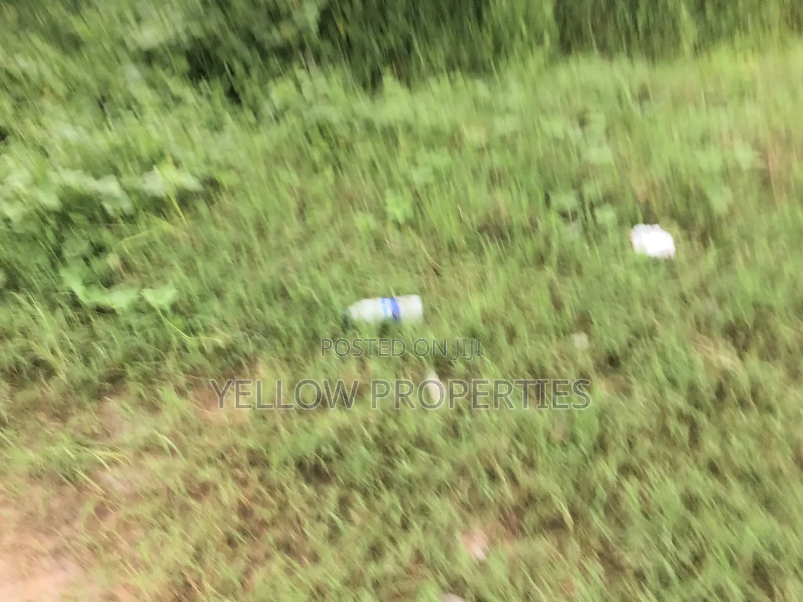 Full Plot of Land Available in Ago Palace