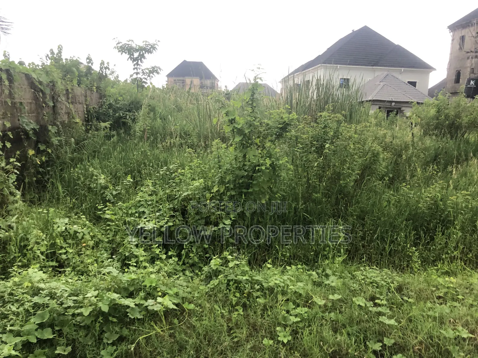 Full Plot of Land Available in Ago Palace