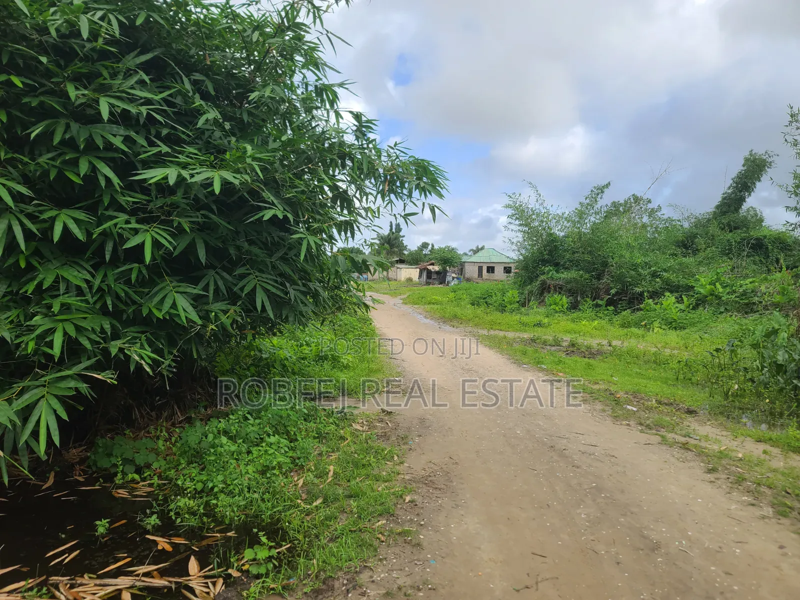 Premium Investment Opportunity Dry Land for Sale at Dongo Community in Awoyaya