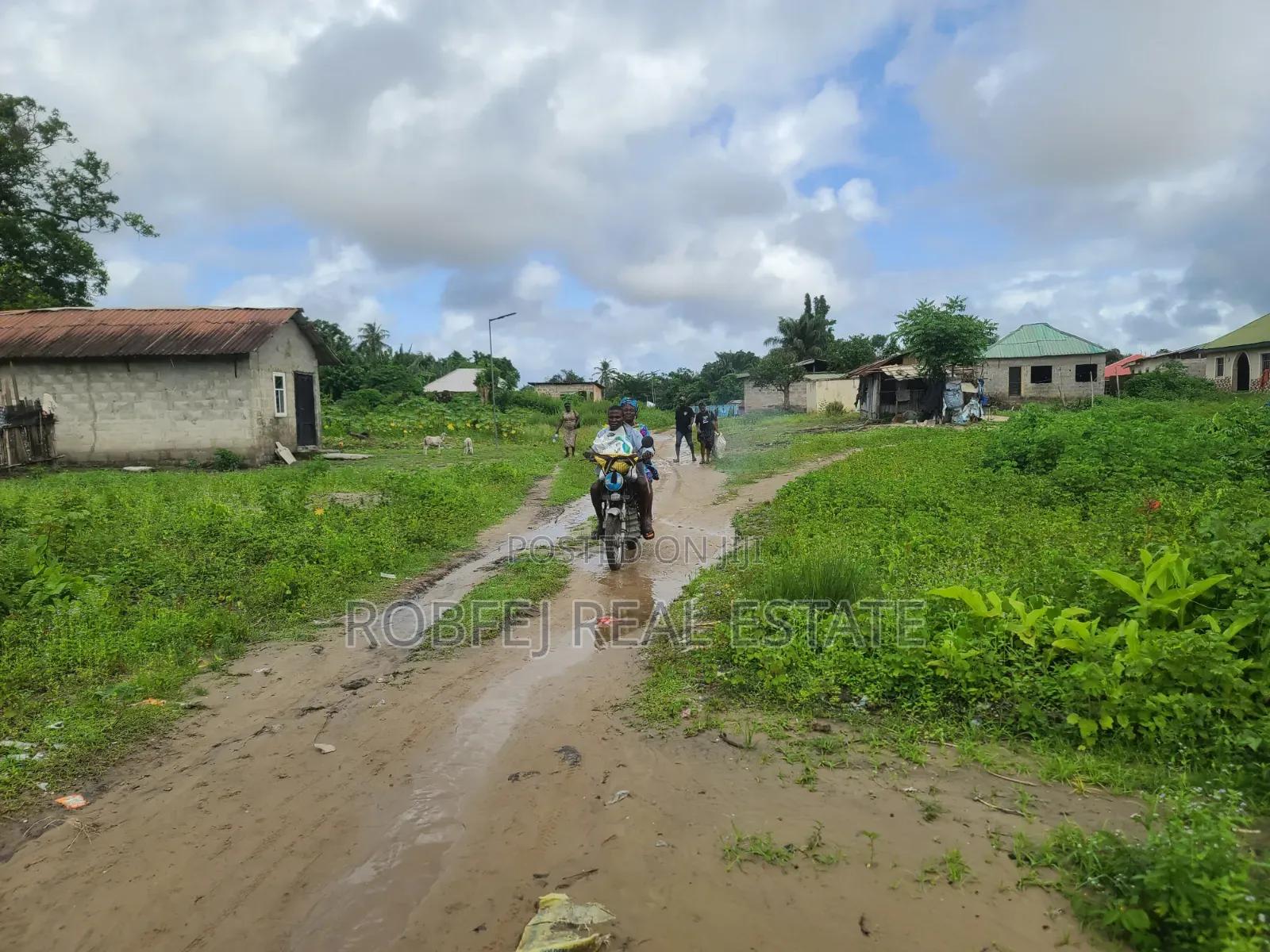Premium Investment Opportunity Dry Land for Sale at Dongo Community in Awoyaya