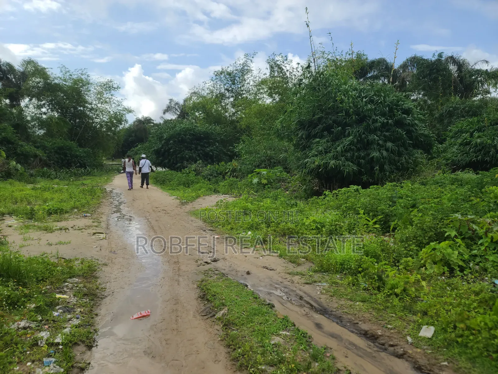 Premium Investment Opportunity Dry Land for Sale at Dongo Community in Awoyaya