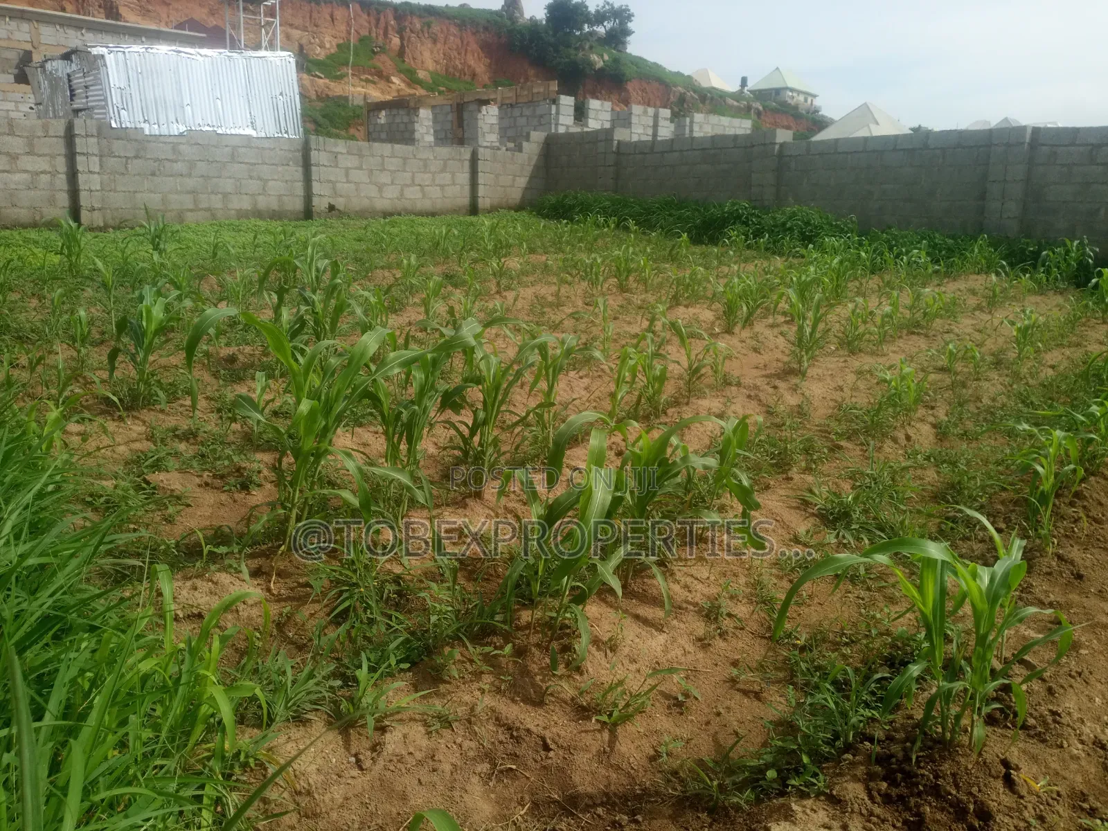 Land for Sale in Karu